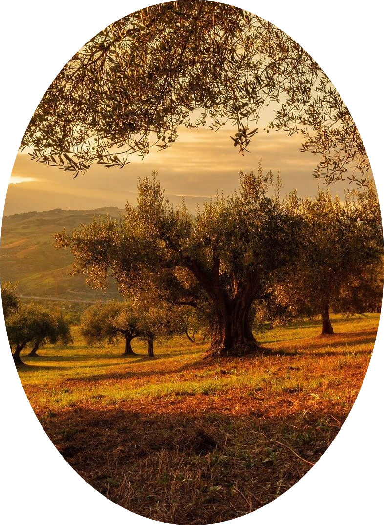 Fotoğraf 1